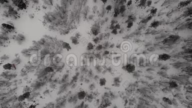 山林树木白雪灰色冬季俄罗斯阿尔克赫赫俯视图